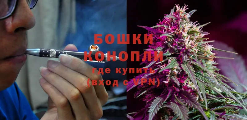 ссылка на мегу ссылка  Томск  Конопля White Widow 